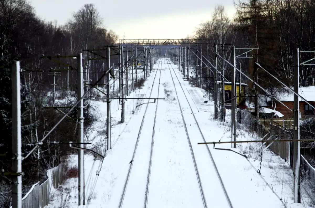 По шпалам пошла… Поймали незаконно пересекавшую границу с Россией жительницу Латвии