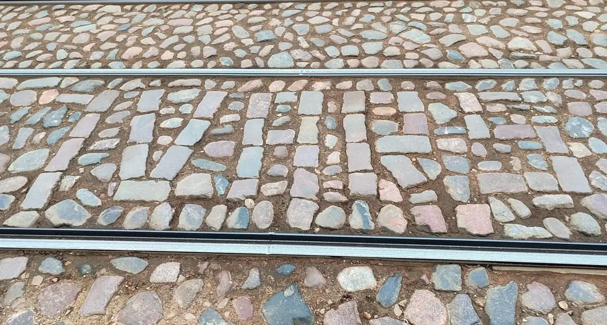 Из-за упавших деревьев в Риге нарушено движение общественного транспорта