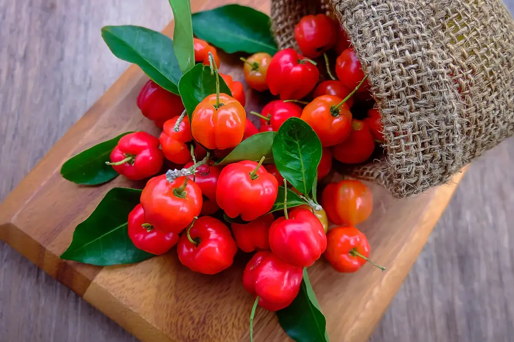 Аcerolа Sweet: здоровье со вкусом вишни