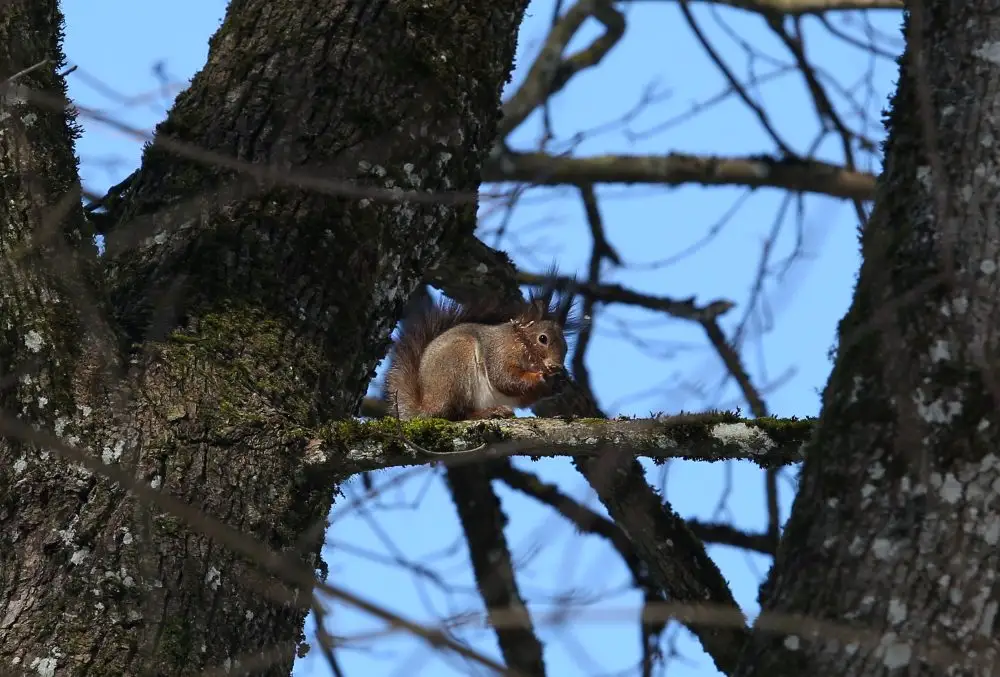 Svētdienas diena būs saulaina un sausa