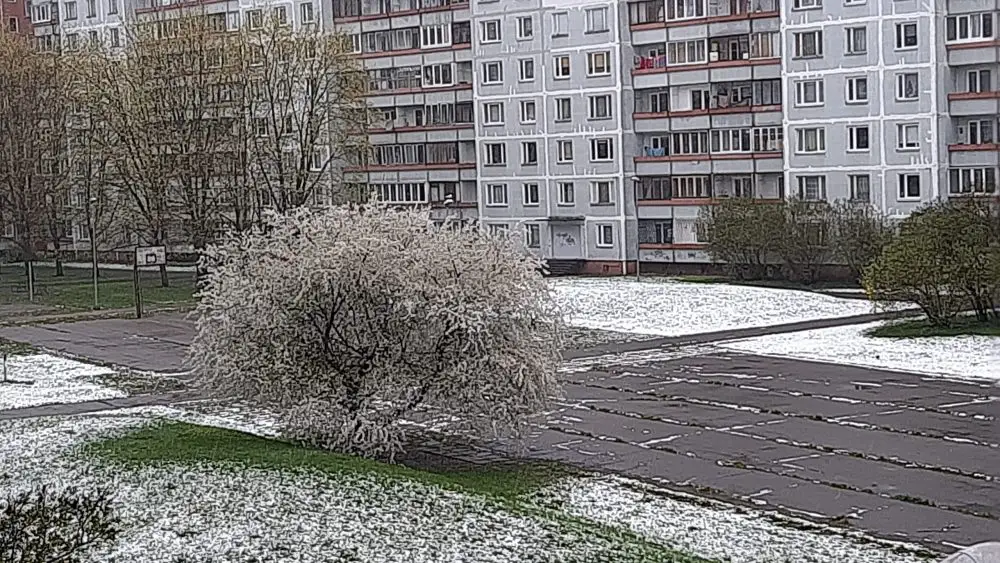 Nedēļas nogale būs vēsa, daudzviet īslaicīgi līs