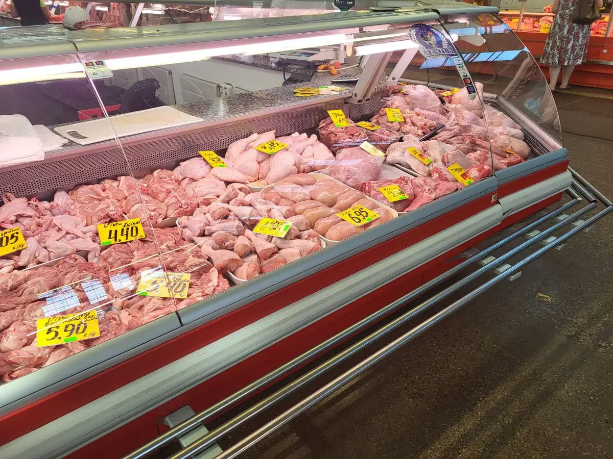 PVD Polijas izcelsmes atkaulotās cāļu kājās konstatējis salmonellas