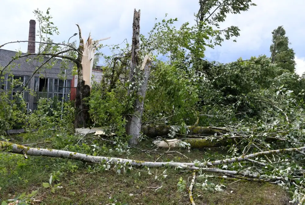 Vakar glābēji devušies uz 20 izsaukumiem, kur bija jāpalīdz novākt negaisa nolauztus kokus