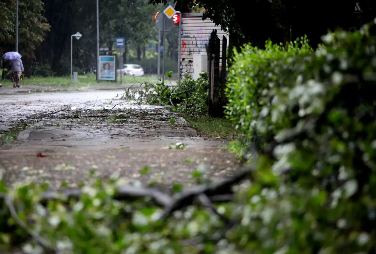 Glābēji sestdien 21 reizi devās novākt uz ceļiem uzkritušus kokus