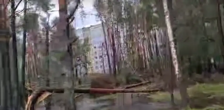 Jūrmalā vētra nodarījusi lielus postījumus Kauguru parkā