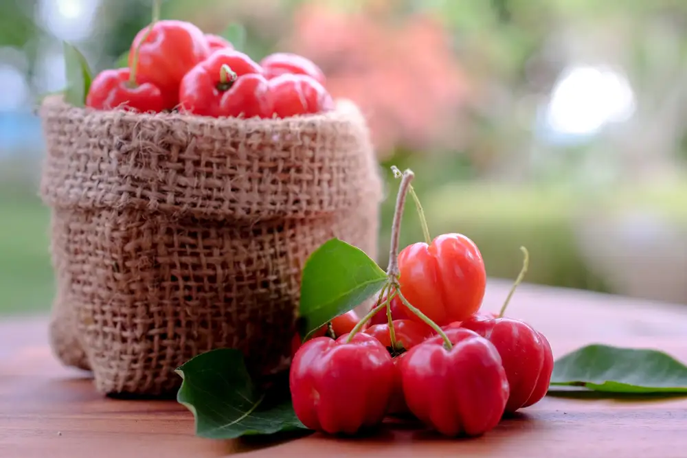 Аcerolа Sweet: здоровье со вкусом вишни