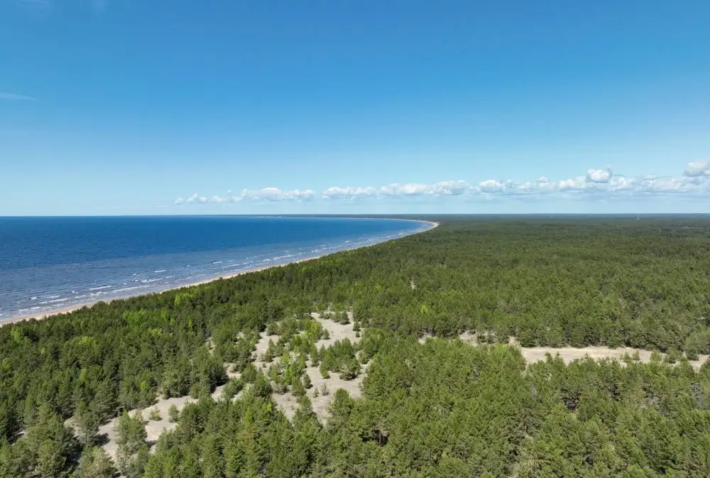 Latvija iestājusies mežiem bagāto valstu stratēģiskajā aliansē «For Forest Group+»