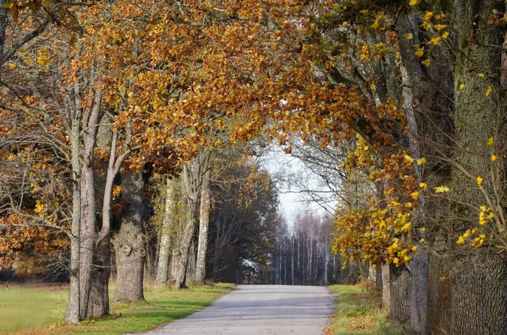Trešdien nav gaidāmi lieli nokrišņi