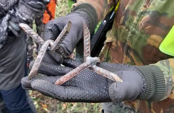Чуть не наступил! Охотники в лесу под Прейли обнаружили ежей, но это были не звери