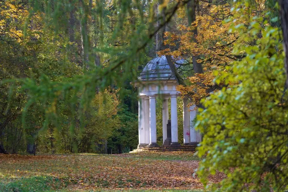 Svētdien gaidāms stiprs vējš, lietus un vietām arī slapjš sniegs