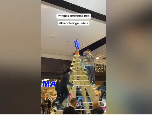 И дама в шубе с последним айфоном! Посетители ТЦ «Акрополь» разграбили ёлку (ВИДЕО)