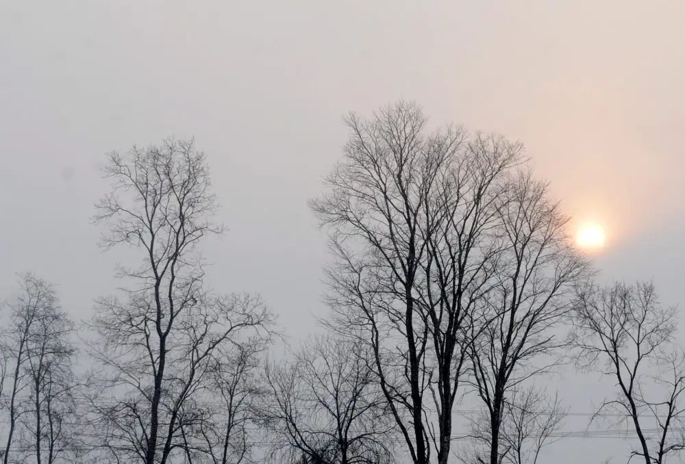 Decembris būs viens no siltākajiem novērojumu vēsturē