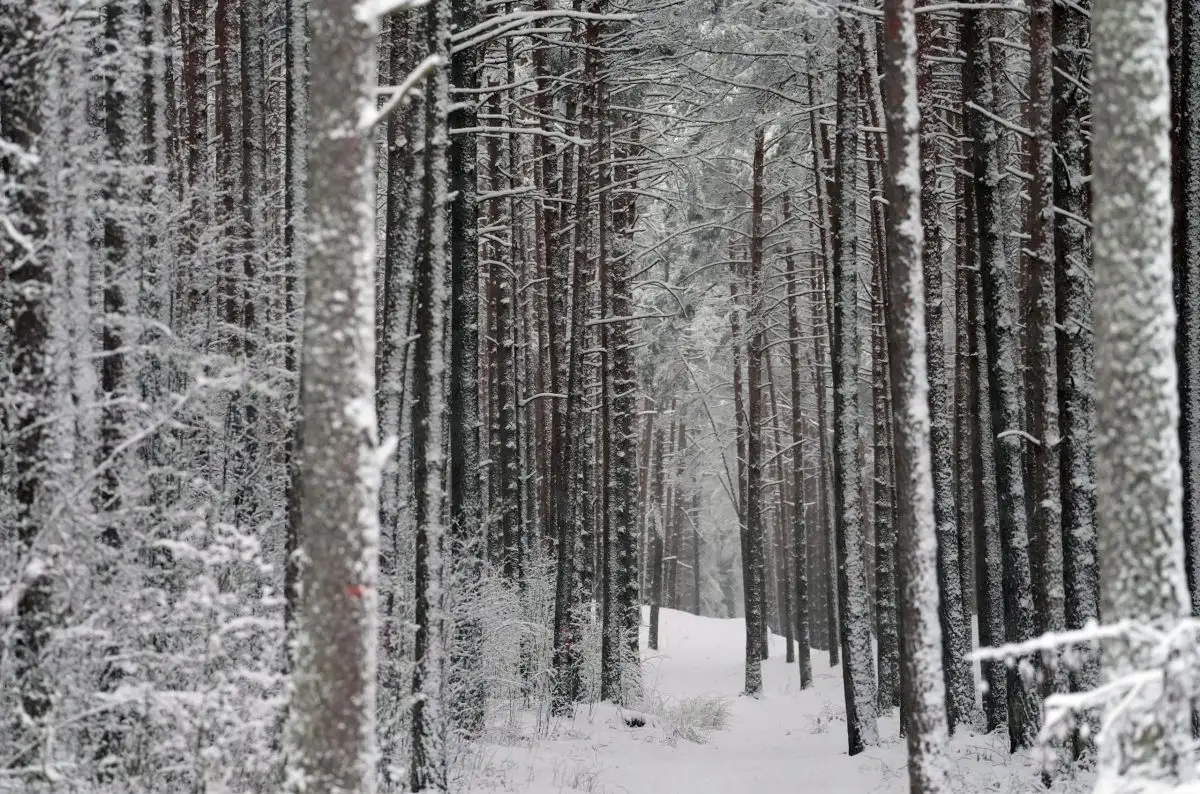 Trešdien laiks kļūs sausāks