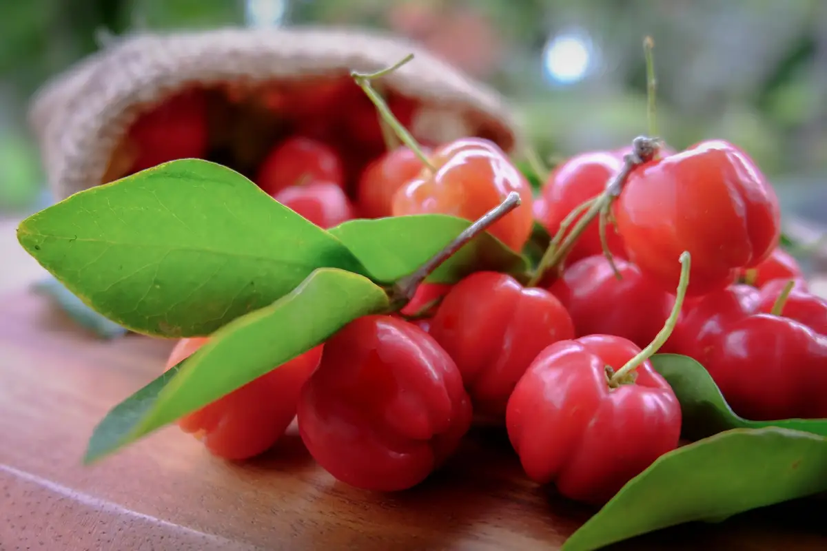 Аcerolа Sweet: здоровье со вкусом вишни