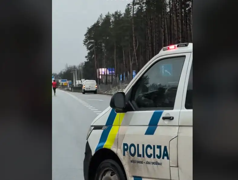 Входит, но не выходит: в Кекаве перекрыли дорогу ради спасения косули. ВИДЕО