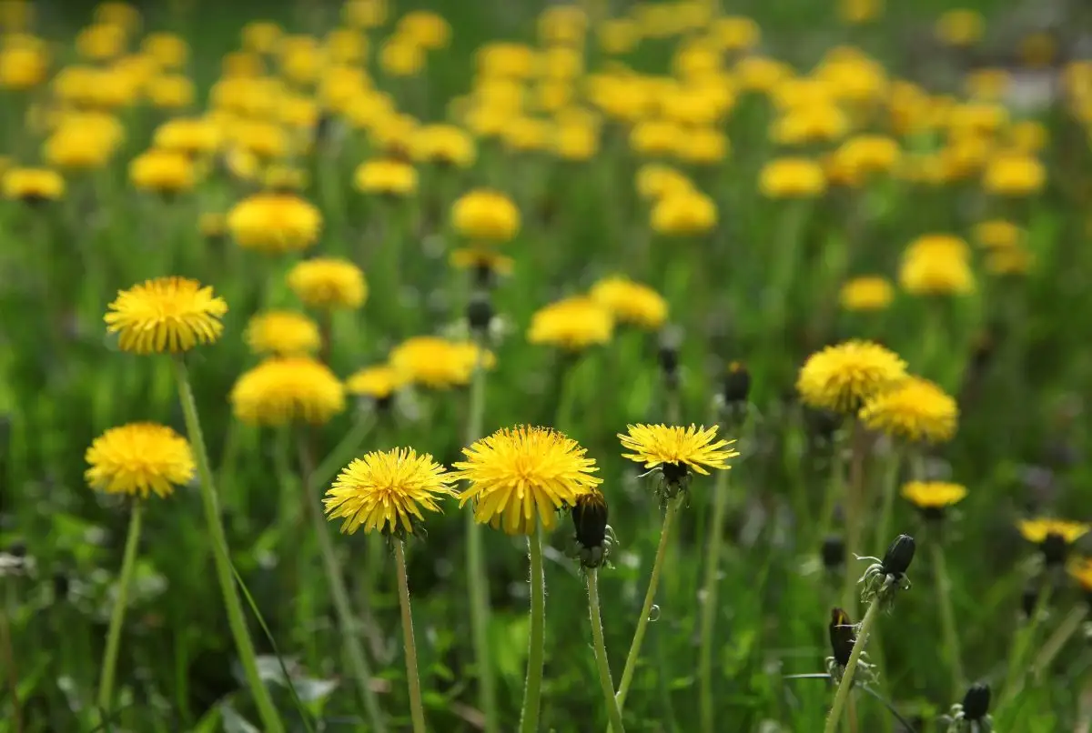 Otrdien pūtīs brāzmains vējš un palaikam spīdēs saule