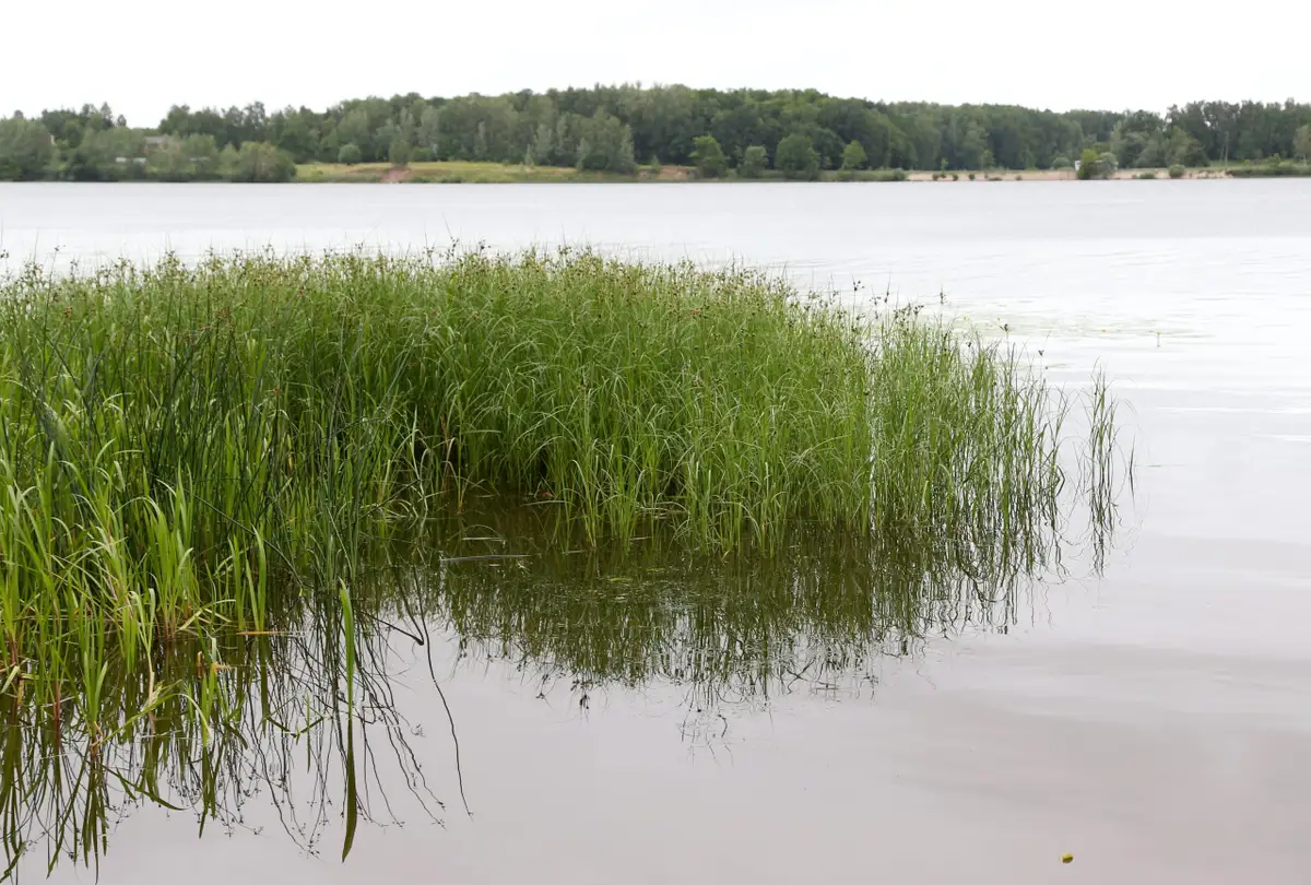 В воде Земли исчезает кое-что жизненно важное — последствия могут остаться на века
