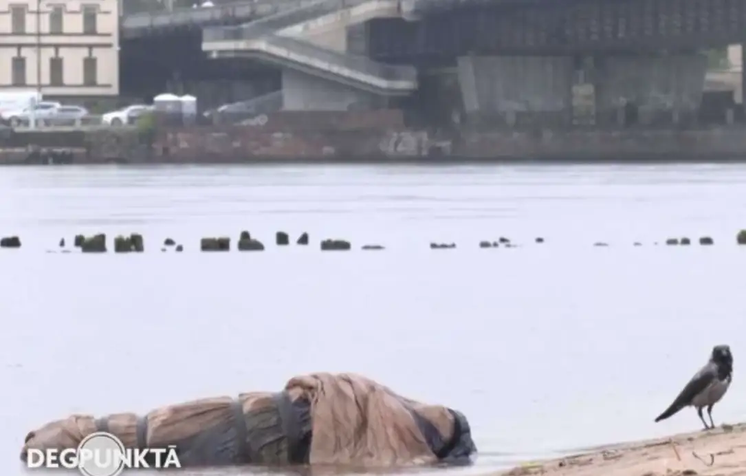 На Кипсале в воде нашли завёрнутый в одеяло труп свиньи без головы