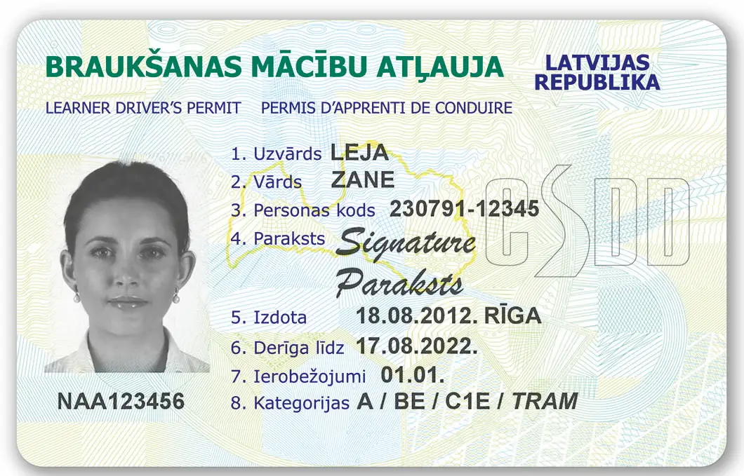 Individuāli apmācīt topošos autovadītājus varēs no 24 gadu vecuma un ar piecu gadu stāžu