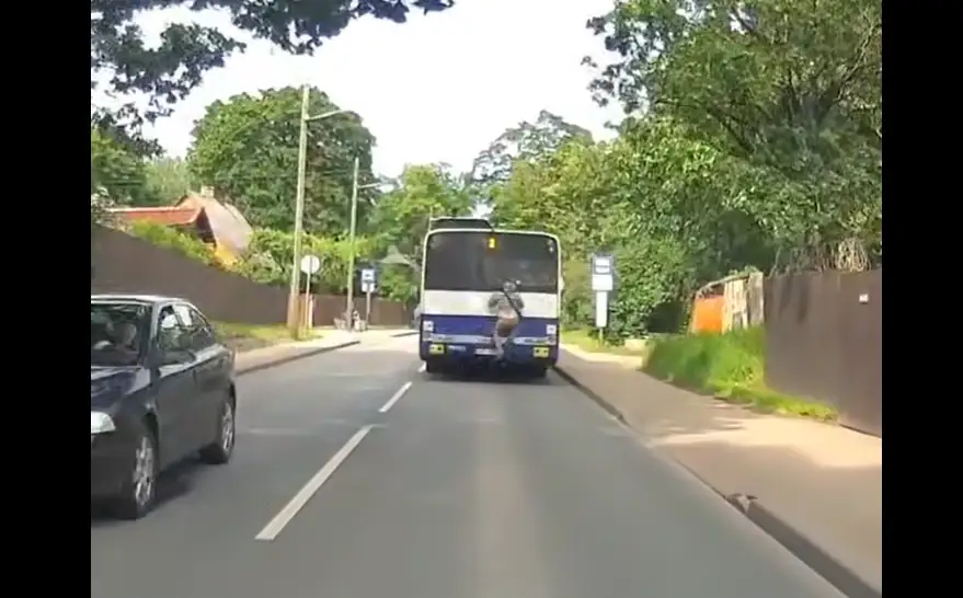 Не только на электричках: подростки цепляются за рижские автобусы