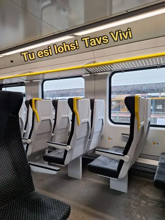 «Ты лох!» Пассажирка возмутилась системой штрафов в электричках ViVi