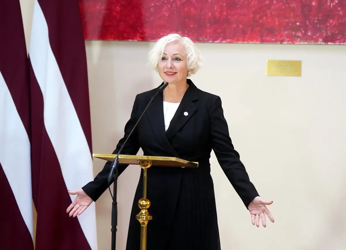 Стамбульская конвенция подкосила правительство Силини: Миериня