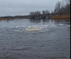 Кит или НЛО? Рижанин заснял загадочное явление на озере Юглас (ВИДЕО)