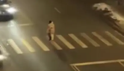 Дикое видео: мама переносит малыша через дорогу (ВИДЕО)
