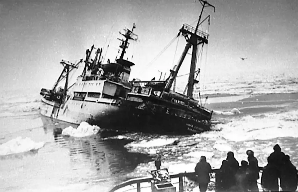 Третий после «Челюскина»: как в 1983 году в Арктике погиб советский теплоход