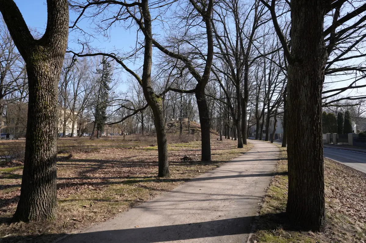 Piektdien pastiprināsies vējš un spīdēs saule