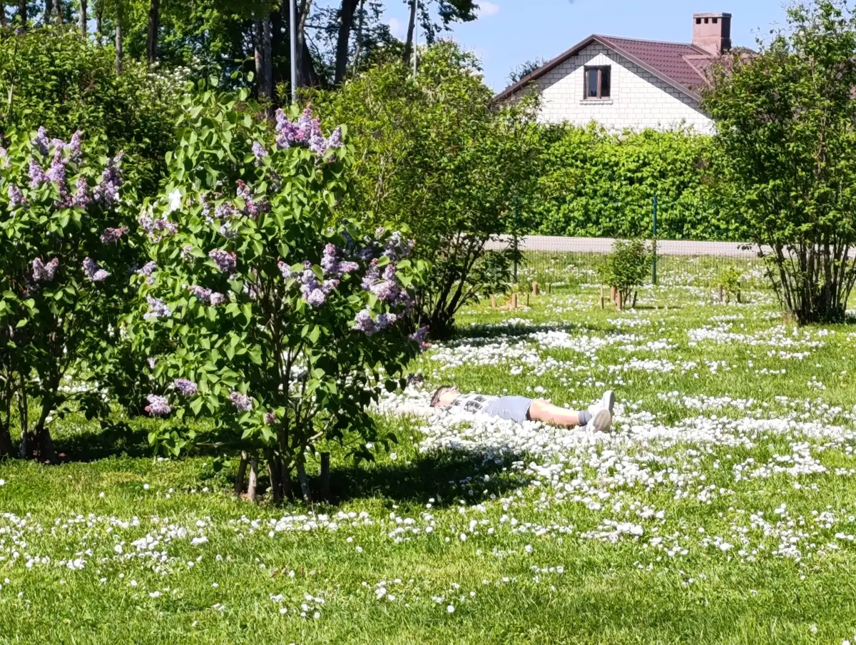 Последняя пятница мая будет ветреной и местами дождливой