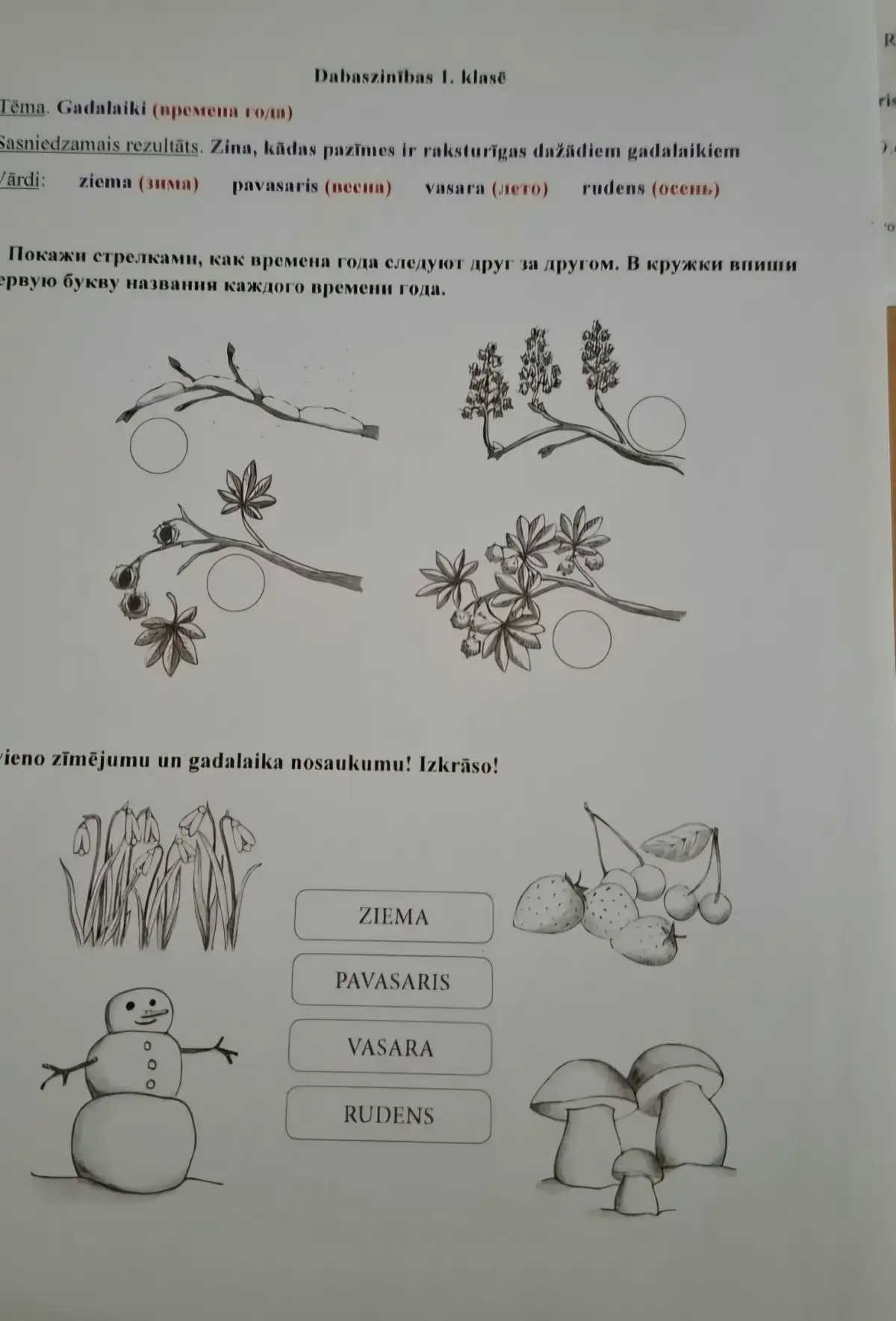 «А как латышским детям выполнять задание?» В Threads разгорелся спор из-за русского текста в школьной работе