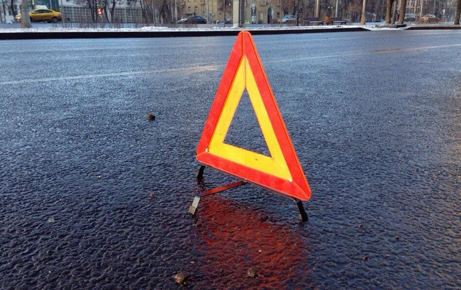 Бежавший с места происшествия виновник ДТП замерз в кустах
