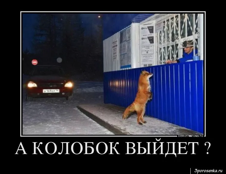 Свежий выпуск прикольных демотиваторов