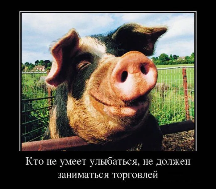 Демотиваторы из матрицы жизни