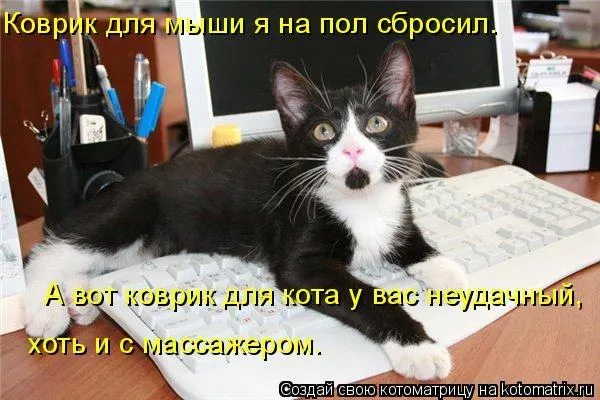 Невыдуманные истории