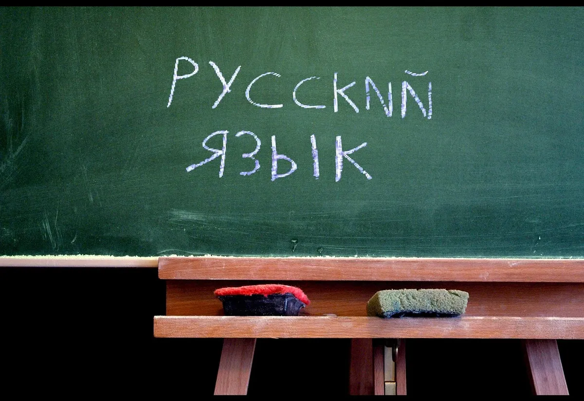 «Согласие» пыталось спасти русский язык в школах. Силы были не равны — русофобская реформа выходит на финиш