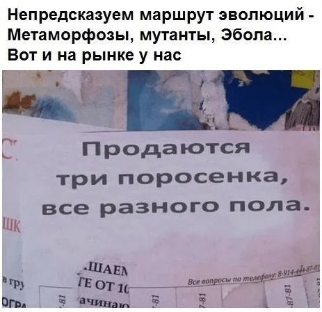 Буриме с реальными объявлениями, вывесками, табличками