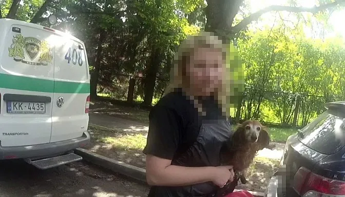 Очевидцы спасли собаку из стоявшей на солнце машины, а хозяйку животного больше интересовало не здоровье питомца, а размер штрафа