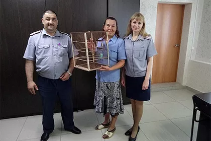 Попугай попал в тюрьму на Урале