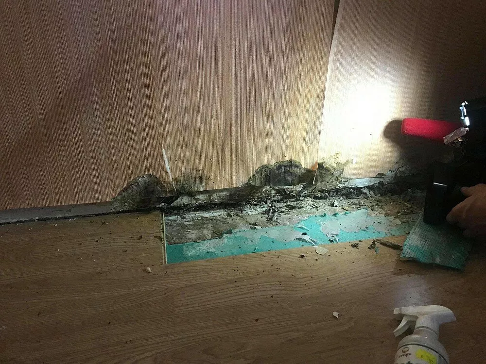 Какой-то ужас! В многоквартирном доме в Добеле появился ядовитый грибок и двое уже умерли