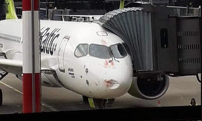 Близко к катастрофе. Самолет airBaltic сбил стаю птиц