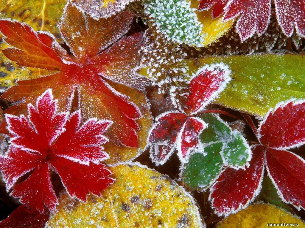 Gaisa temperatūra Latgalē pazeminājusies līdz -8 grādiem