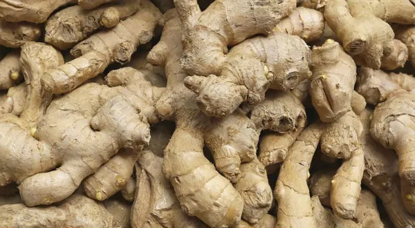 Стоит ли употреблять «корень с рогами»