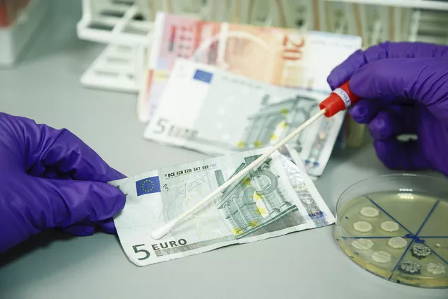 Jelgavā pie personas atrod vairākus desmitus viltotu 20 un 50 eiro banknošu