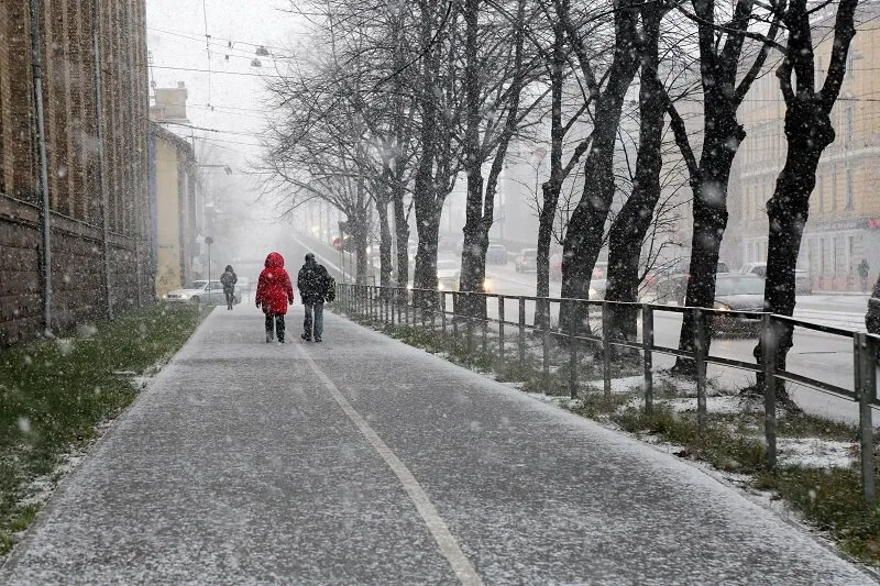 В четверг в Латвии ожидаются небольшие снегопады, лёгкий мороз
