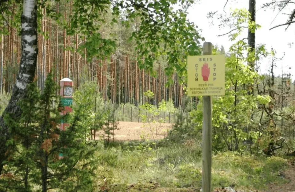 Эстонские собаки сбежали в Россию. Возвращаться отказались