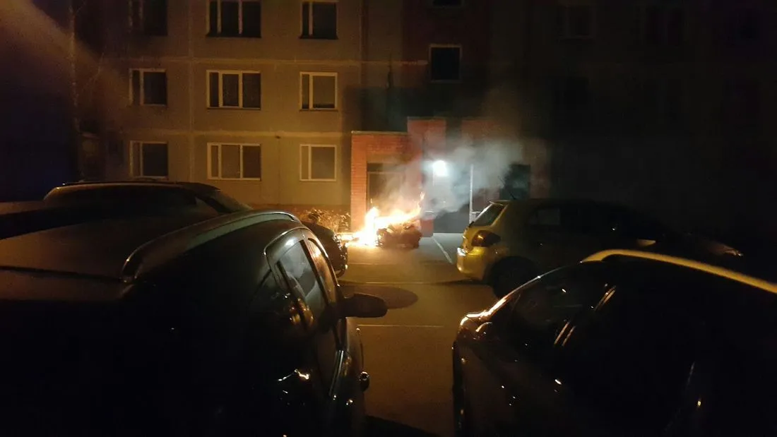 В ночь Столетия неизвестные подожгли Зиепниеккалнс (ФОТО)
