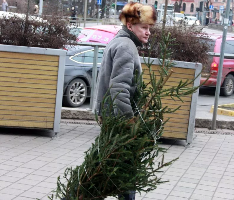 Тепло и сыро: синоптики дали прогноз погоды на предрождественские дни