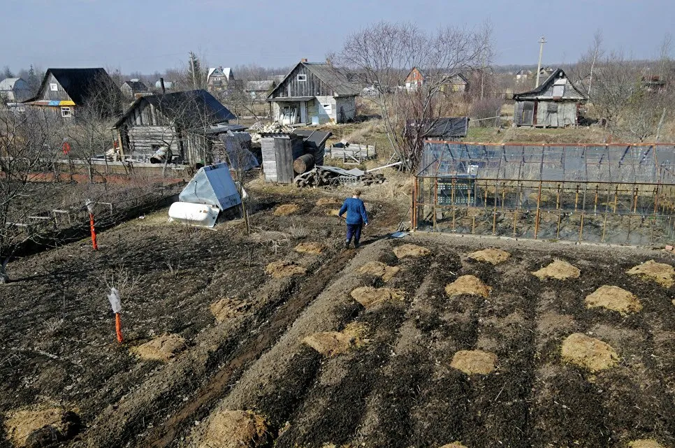 Платите и не вякайте: как волости душат огородников